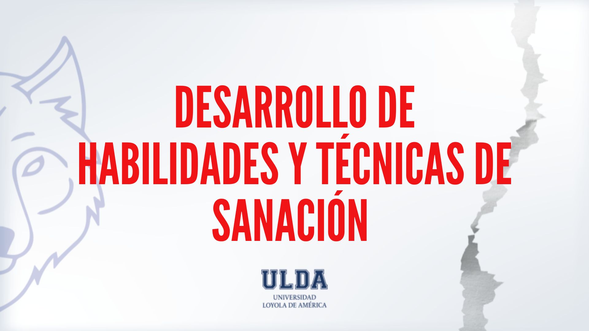 Desarrollo de Habilidades y Técnicas de Sanación