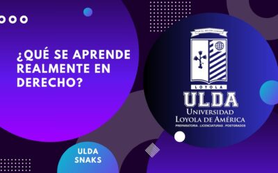 ¿Qué se aprende realmente en Derecho?